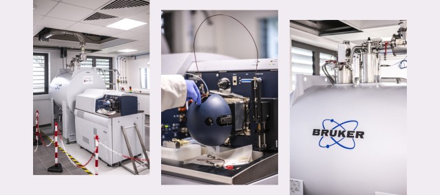 Photos : Adrien Basse-Cathalinat / Pays de B&eacute;arn.